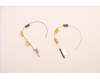 Lenovo ANTENNA FRU Ant ACCY KITS WLAN AL JT6C1 für Lenovo ThinkPad P16s Gen 1 (21CK/21CL)