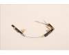 Lenovo ANTENNA FRU WWAN ANTENNA for EM05-G für Lenovo ThinkPad X13 G3 (21BN/21BQ)
