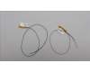 Lenovo ANTENNA FRU Antenna WLAN cable 500W Gen4 für Lenovo 500w Yoga Gen 4 (82VQ/82VR)