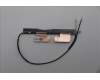 Lenovo ANTENNA FRU ANTENNA WLAN für Lenovo ThinkPad P14s G6 (21QT/21QU)