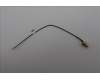 Lenovo ANTENNA 170mm SMA RF Cable_LUX für Lenovo V105q (13Q3)