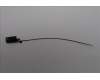 Lenovo ANTENNA GB10 main antenna_AWAN für Lenovo ThinkStation PGX (30KL)