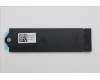 Lenovo BRACKET MPV60_SSD_2280_WPAD_BKT_ASSY für Lenovo ThinkPad P16v G3 (21RS)