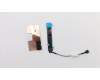 Lenovo CAMERA World-face Camera B81M9 5MW/Cable für Lenovo 300e 2nd Gen (81M9)