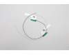Lenovo ANTENNA Antenna H 82KN MAIN+AUX für Lenovo IdeaPad 3 Chrome-14M836 (82KN)