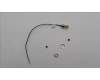 Lenovo 5A31F27694 Antenne Fru, Neo Tiny I-PEX TO SMA_LUX