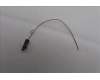 Lenovo 5A31F27739 Antenne Fru,Neo Studio aux Antenne_LUX