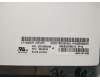 Lenovo 00UR192 14,WQHD,no-glare,TP,TPK+LGD