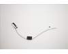 00XJ118 Lenovo ANTENNA LX C-tiny2 Rear antenna