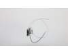Lenovo ANTENNA Fru, AIO A710_V330 Antenna für Lenovo V330-20ICB (10UK/10UL)