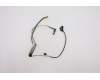 Lenovo CABLE LED Camera Cable,TS,MGE für Lenovo ThinkPad P52 (20MA/20M9)