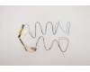 Lenovo ANTENNA FRU ANTENNA P17 ANTENNA WWAN für Lenovo ThinkPad P17 Gen 1 (20SN/20SQ)