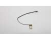 Lenovo CABLE EDP Cable Q 80TA W/O Camera für Lenovo V510-15IKB (80WQ)