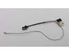 Lenovo CABLE EDP Cable C 81CJ W/CMOS für Lenovo V130-14IKB (81HQ)