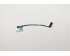Lenovo CABLE eDP ePrivacy Cable,Amphenol für Lenovo ThinkPad X13 (20UF/20UG)