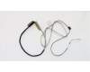 Lenovo CABLE EDP CABLE WQHD COXIAL für Lenovo ThinkPad T470p (20J6/20J7)