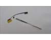 Lenovo CABLE EDP cable C 82XF RGB40 für Lenovo IdeaPad Slim 5 16IRL8 (82XF)