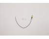 Lenovo ANTENNA 190mm SMA RF Cable_HB für Lenovo ThinkCentre M900x (10LX/10LY/10M6)