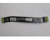Lenovo CABLE FRU CABLE LINK1.0 INTEL IO/B FPC für Lenovo ThinkPad X13 G6 (21RK)