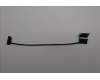 Lenovo CABLE FRU CABLE EDP für Lenovo ThinkPad P14s G6 (21QT/21QU)