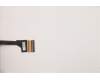 Lenovo COVER LCD Cover L 82NL 60HZ für Lenovo Legion 5-15IMH6 (82NL)