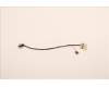Lenovo CABLE ET M/B-TS EDP COAXIAL+TEFLON für Lenovo ThinkPad P16 Gen 2 (21FA/21FB)