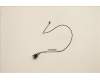 Lenovo CABLE Fru 475mm C2 SWITCH_TCO8.0 für Lenovo ThinkCentre M75s Gen 2 (11JA)