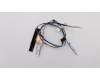 Lenovo 01LW234 Antenne FRU WL+WW Antenne Kit