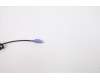 00XH897 Lenovo DT_KYB PS2 TRDTNL KB BK 253 ARA