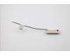 00XJ117 Lenovo ANTENNA LX C-tiny2 Front antenna