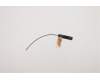 00XJ146 Lenovo ANTENNA M820z ANTENNA
