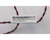 00XL210 Lenovo Fru 450mm 70_30 interner Lautsprecher