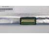 01AY471 Lenovo DISPLAY 15.6\",HD,AG