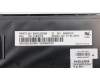 Lenovo 01EN704 NB_KYB Thorpe2 KBD,PT,CHY BL