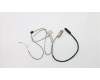 01HW939 Lenovo CABLE EDP CABLE WQHD COXIAL