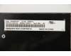 Lenovo 01HX179 NB_KYB TACHI2 LTN NBL-KB US