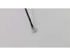 Lenovo 01LW246 SPEAKERINT FRU SPEAKER ASM