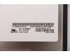 01YN128 Lenovo DISPLAY LGD 14 0 WQHD IPS AG
