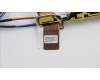 04X5372 Lenovo ANTENNA WLAN+WWAN,asm