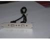 Lenovo 31026131 CABLE ??LI300mm??2?USB???II HP(R)
