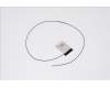 50.GY9N2.004 Acer ANTENNA MAIN