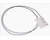 50.Q5AN2.006 Acer ANTENNA MAIN