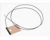 50.Q5EN2.007 Acer ANTENNA MAIN