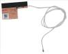 Acer 50.QGVN2.008 Antenna WLAN AUX