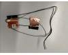 Acer 50.VMUN8.004 ANTENNA.WIFI/BT