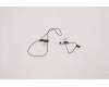 5A30S36067 Lenovo ANTENNA Antenna L 20YN(5A30S36067)