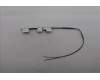 5A30S36111 Lenovo ANTENNA ANTENNA H 83J1