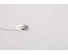 5A30W89195 Lenovo ANTENNA Lx T550Q aux antenna