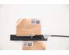 Lenovo 5A30Z88168 Antenne ACCY KITS Antenne WLAN AL