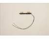 Lenovo 5A30Z88190 Antenne FRU Antenne Mercury 3.0 AMD
